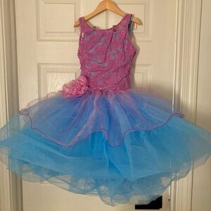 Beautiful Girls Tulle Dance Costume Blue and Purple Sz CLA (large)